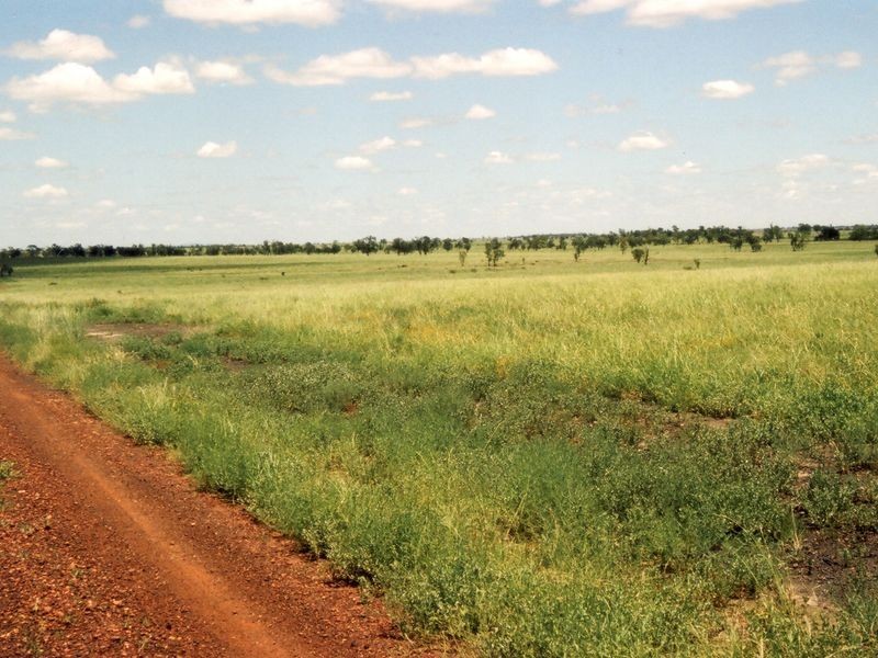 Address Available on Request, Roma QLD 4455