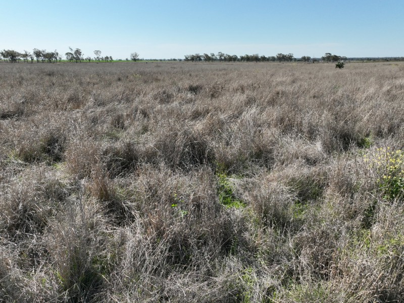 91B Hodgson Lane North, Roma QLD 4455