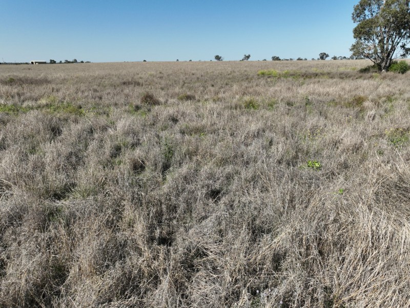 91B Hodgson Lane North, Roma QLD 4455