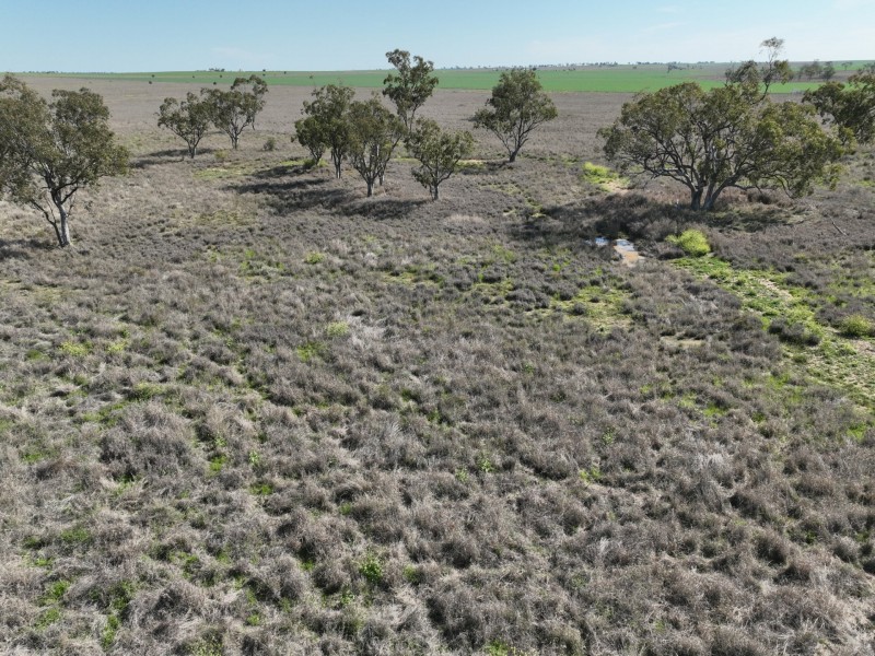 91B Hodgson Lane North, Roma QLD 4455