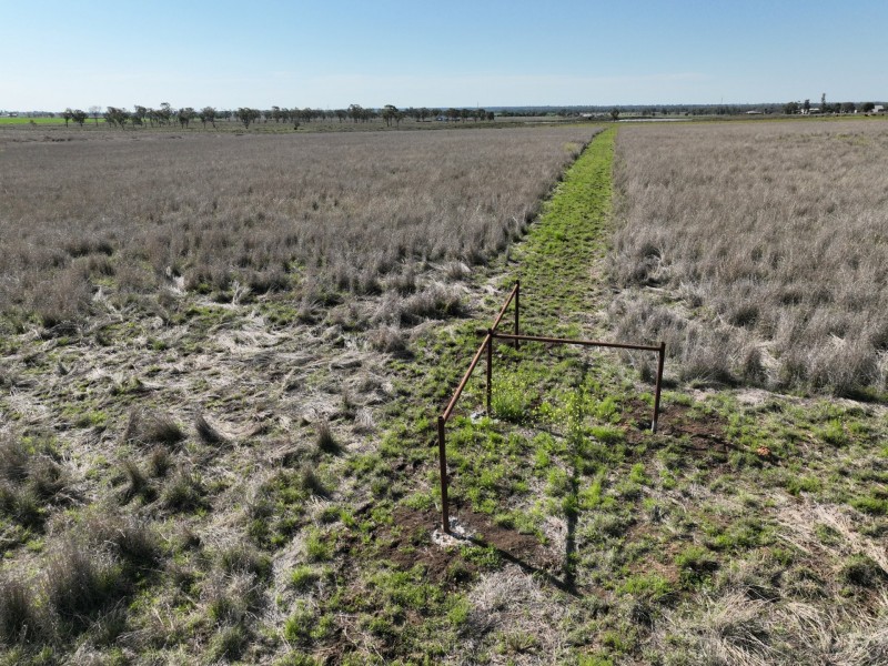 91B Hodgson Lane North, Roma QLD 4455