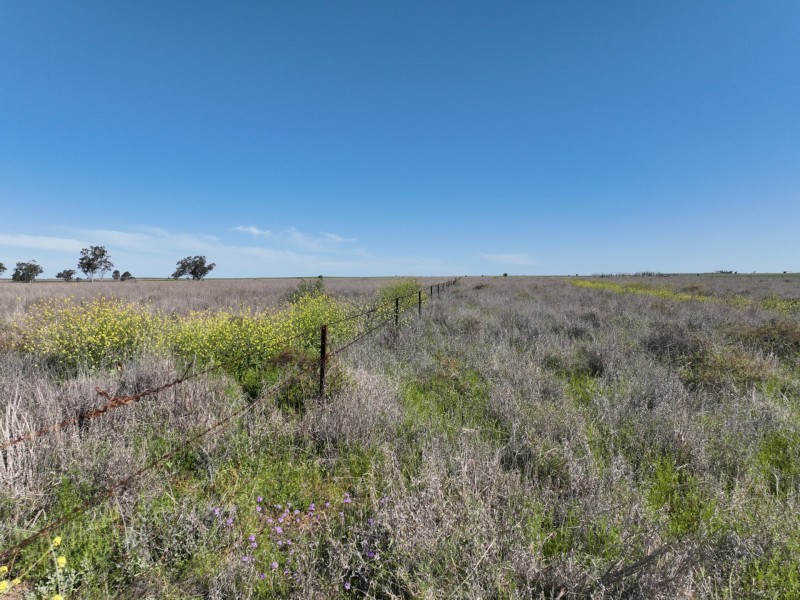 91B Hodgson Lane North, Roma QLD 4455