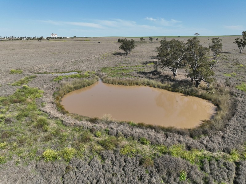 91B Hodgson Lane North, Roma QLD 4455