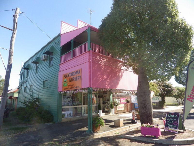 87 Wyndham Street, Roma QLD 4455