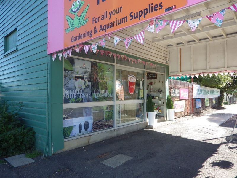 87 Wyndham Street, Roma QLD 4455