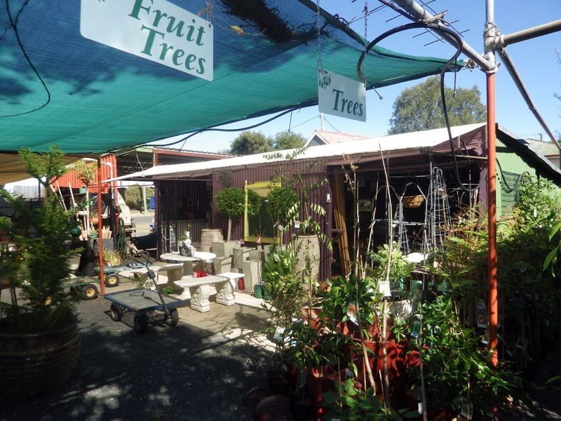 87 Wyndham Street, Roma QLD 4455