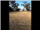 LOT 26 NEWTON STREET, Morven QLD 4468