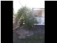 1 Ivy Street, Roma QLD 4455