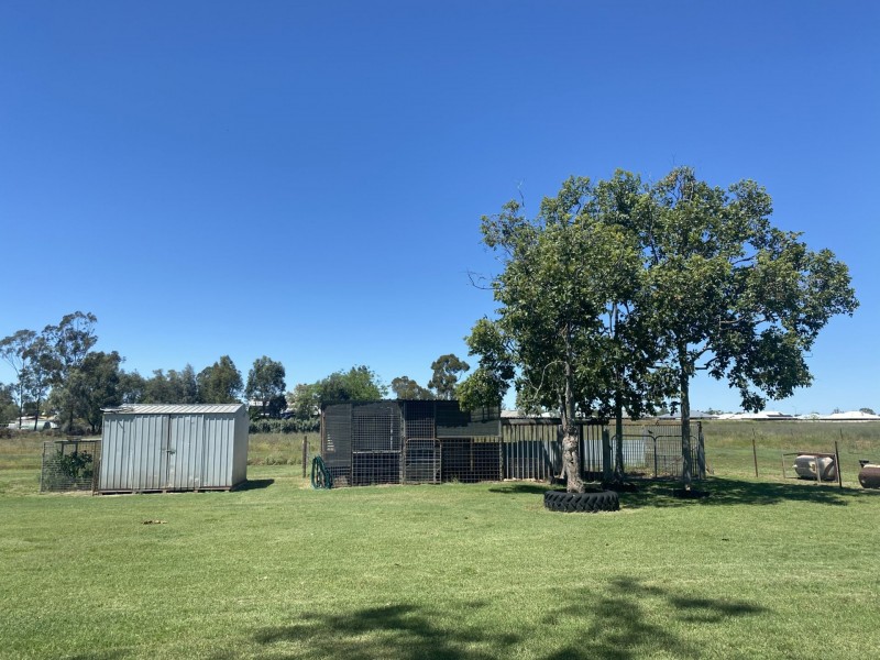 203 Bassett Lane, Roma QLD 4455
