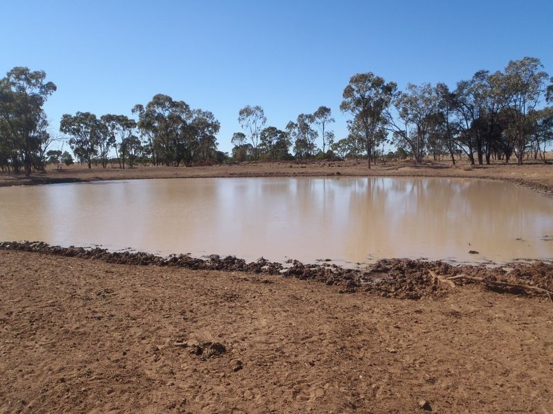 Fenton Gunnindaddy Road, Mungindi NSW 2406
