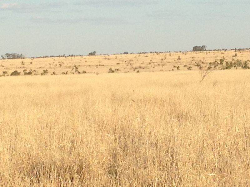 Fenton Gunnindaddy Road, Mungindi NSW 2406