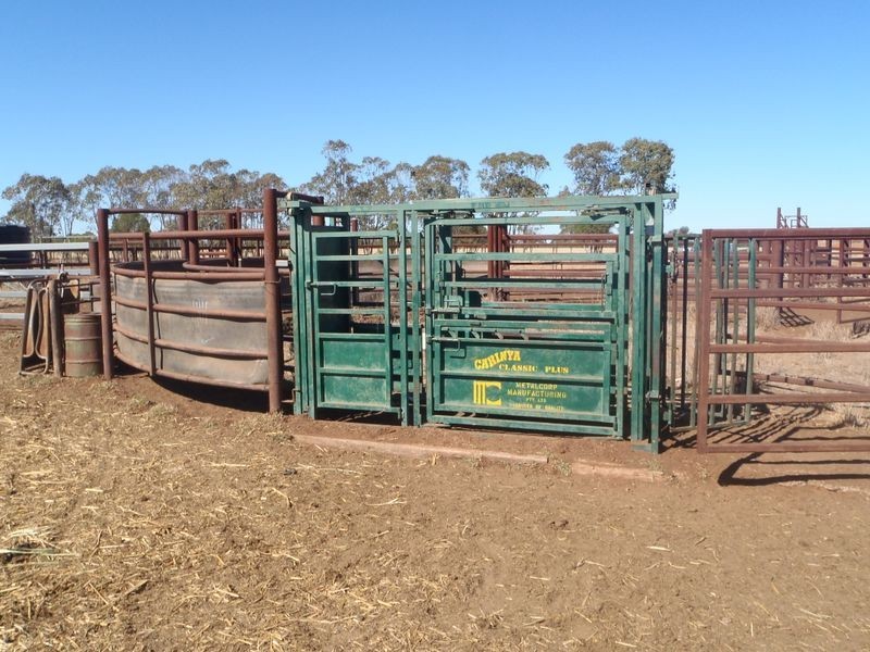 Fenton Gunnindaddy Road, Mungindi NSW 2406