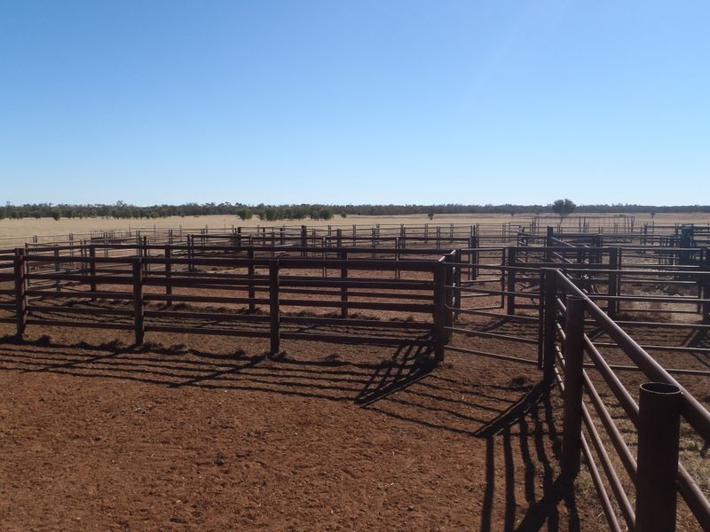 Fenton Gunnindaddy Road, Mungindi NSW 2406