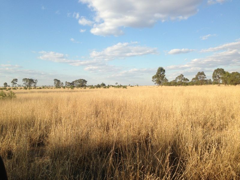 Fenton Gunnindaddy Road, Mungindi NSW 2406