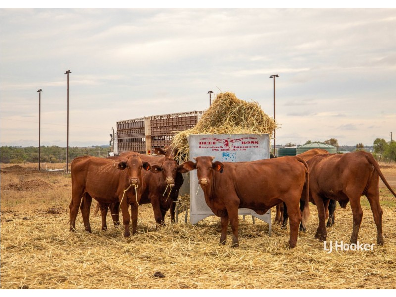 110 Six Mile Road, Roma QLD 4455