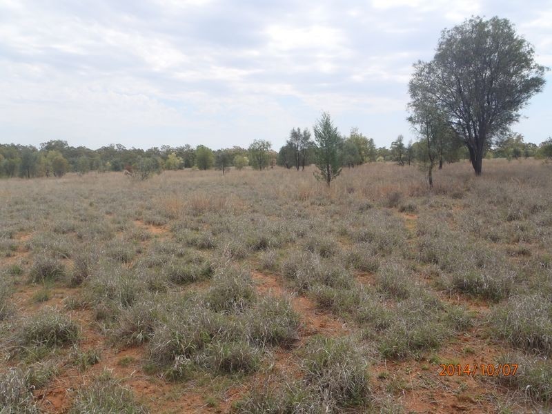 68 Minka Road, Roma QLD 4455