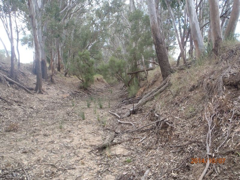 68 Minka Road, Roma QLD 4455