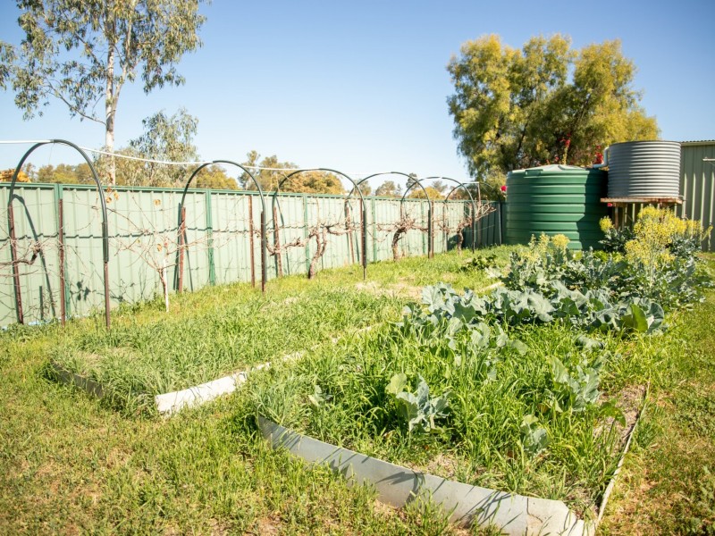 6 – 8 Wyndham Street, Roma QLD 4455