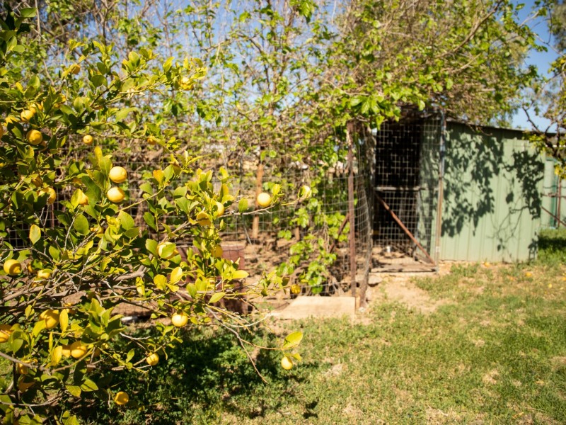 6 – 8 Wyndham Street, Roma QLD 4455