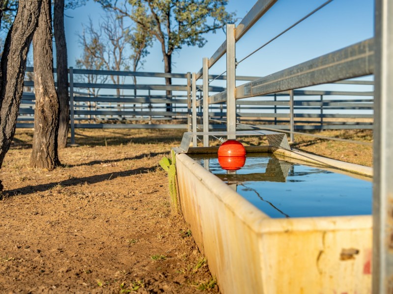 6614 Carnarvon Highway, Roma QLD 4455