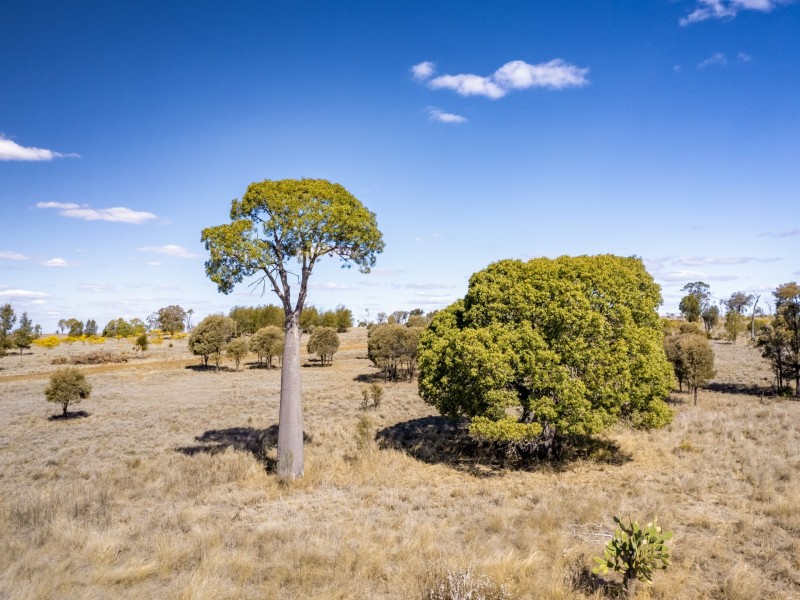 6614 Carnarvon Highway, Roma QLD 4455