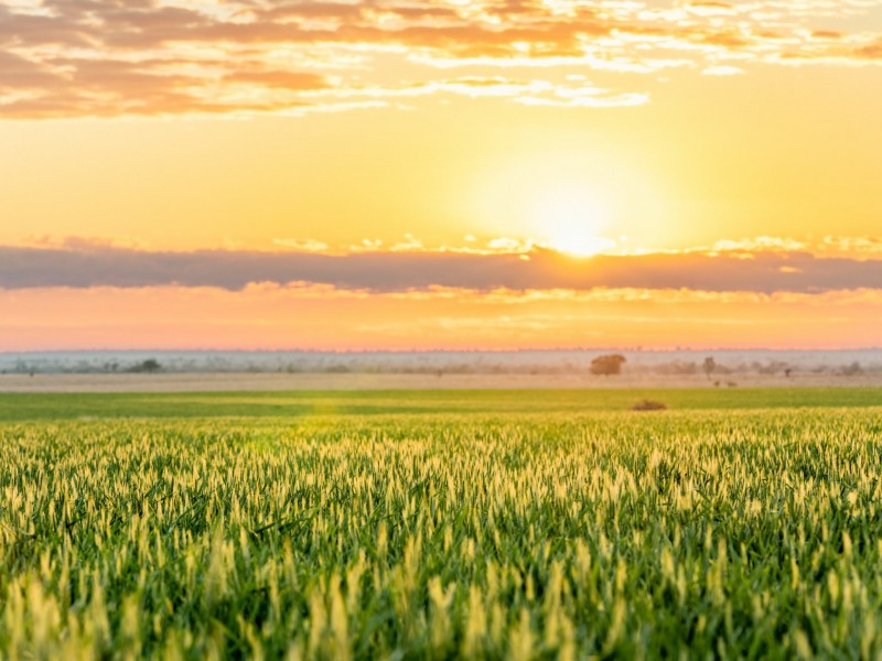 996 Surat Development Road, Surat QLD 4417