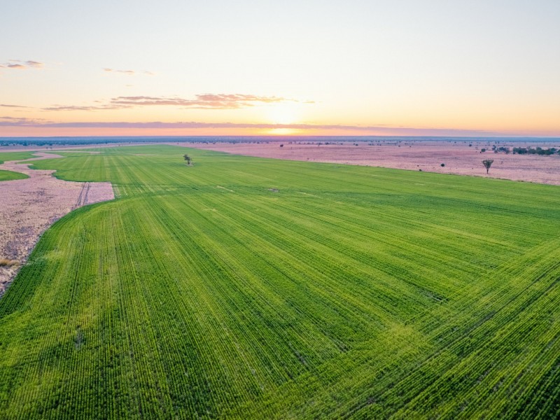 996 Surat Development Road, Surat QLD 4417