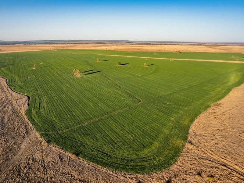 996 Surat Development Road, Surat QLD 4417