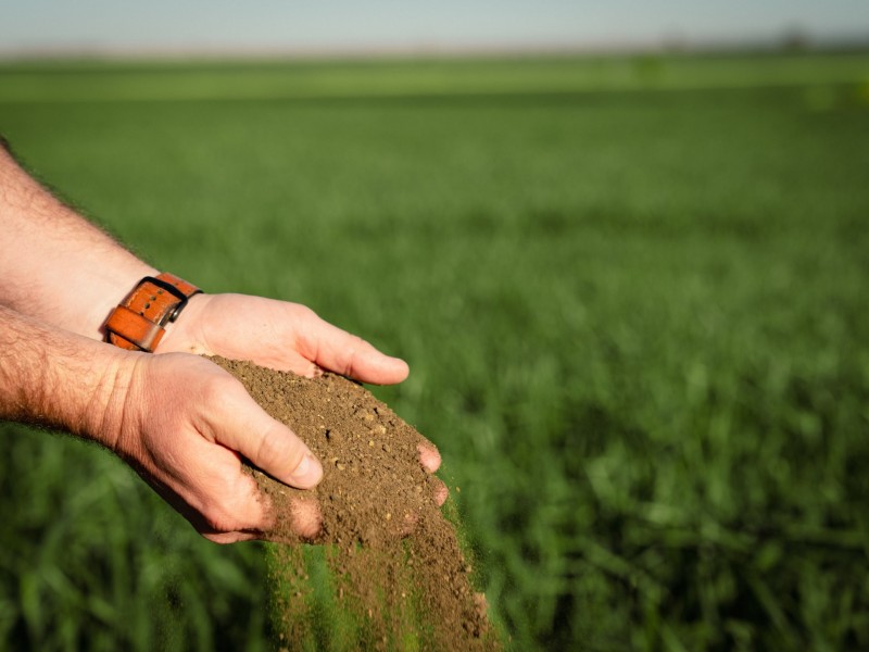 996 Surat Development Road, Surat QLD 4417