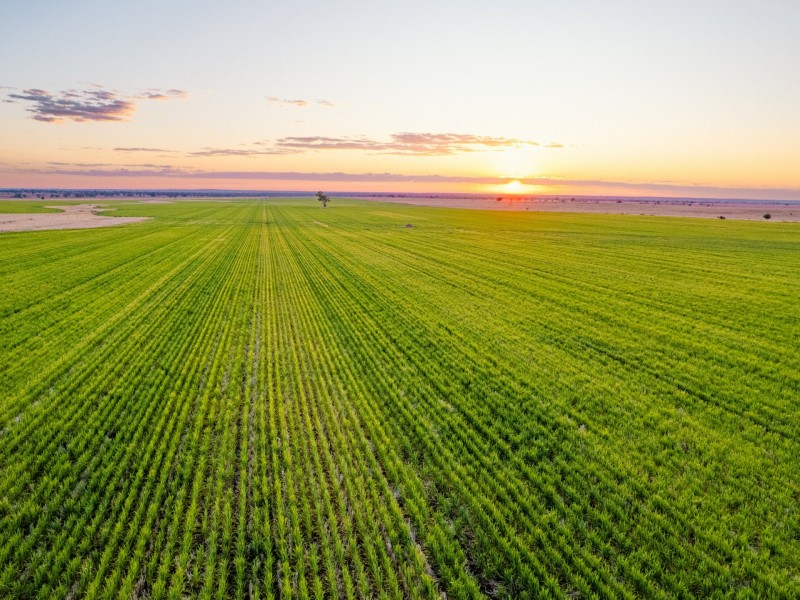 996 Surat Development Road, Surat QLD 4417