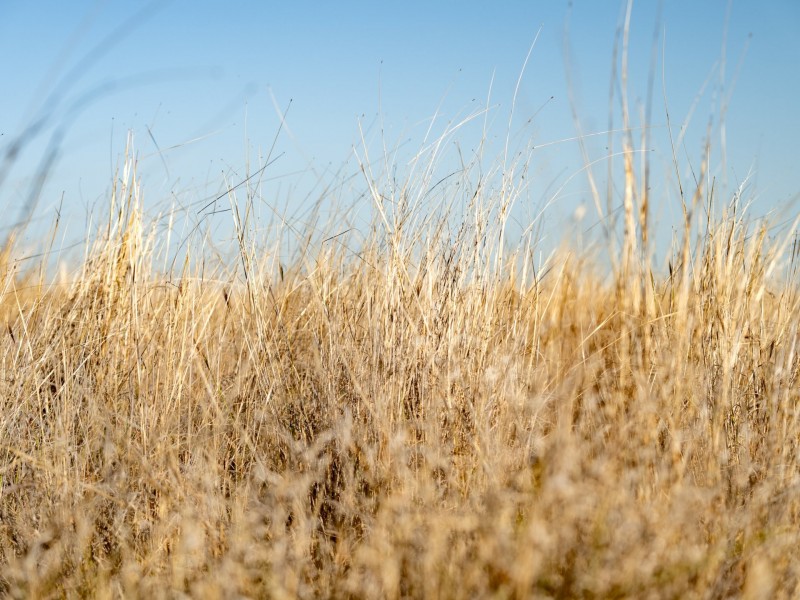 996 Surat Development Road, Surat QLD 4417