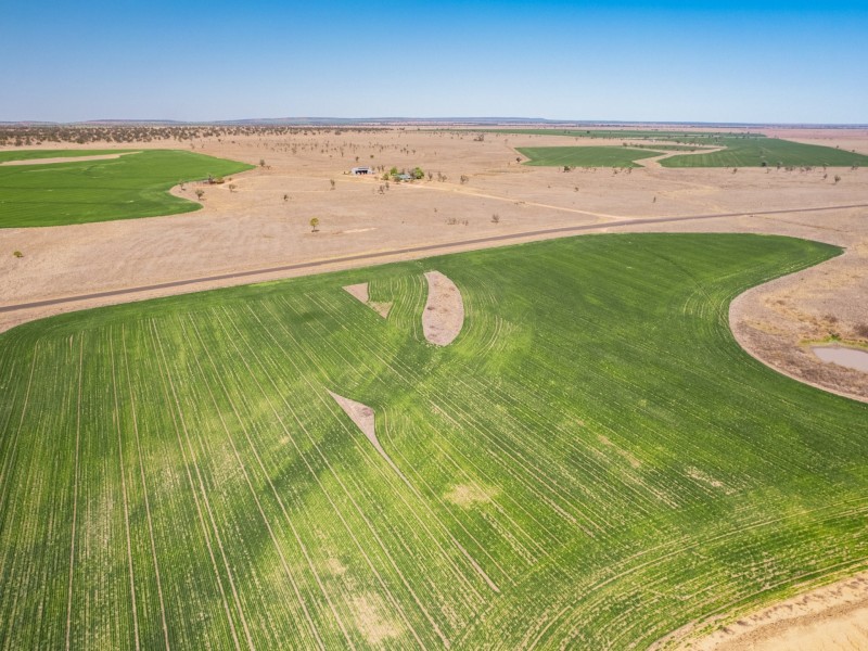 996 Surat Development Road, Surat QLD 4417