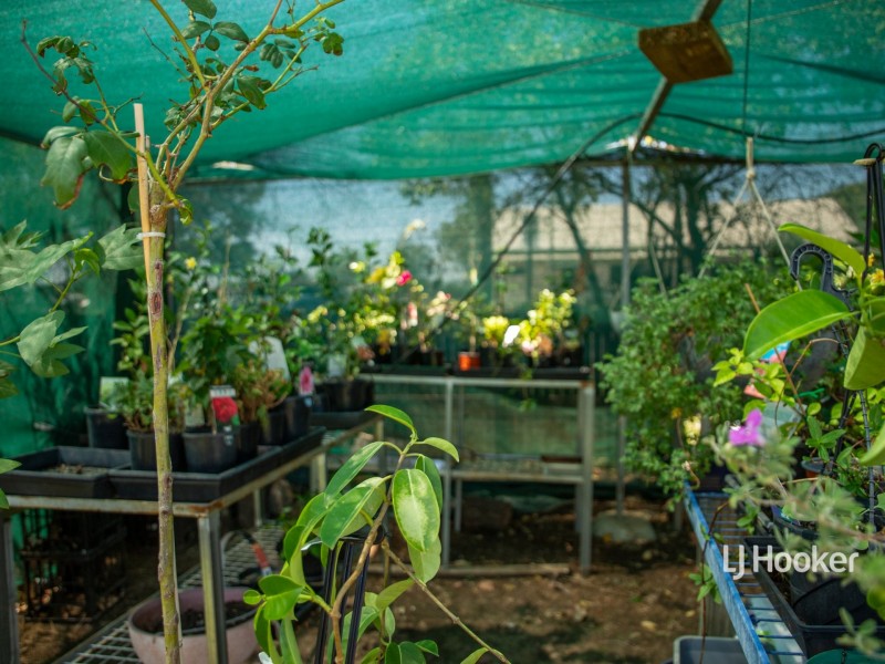 33 High Street, Wallumbilla QLD 4428