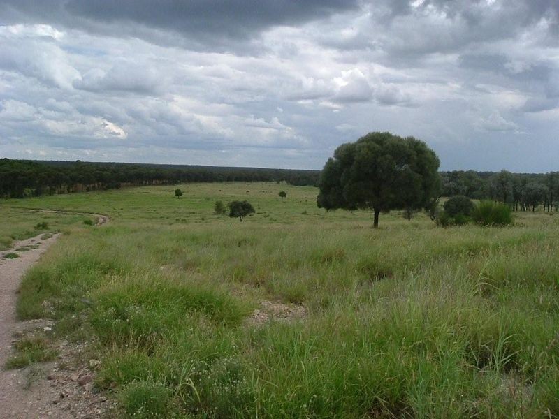 8076 Bollon Road, Mitchell QLD 4465