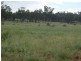 8076 Bollon Road, Mitchell QLD 4465