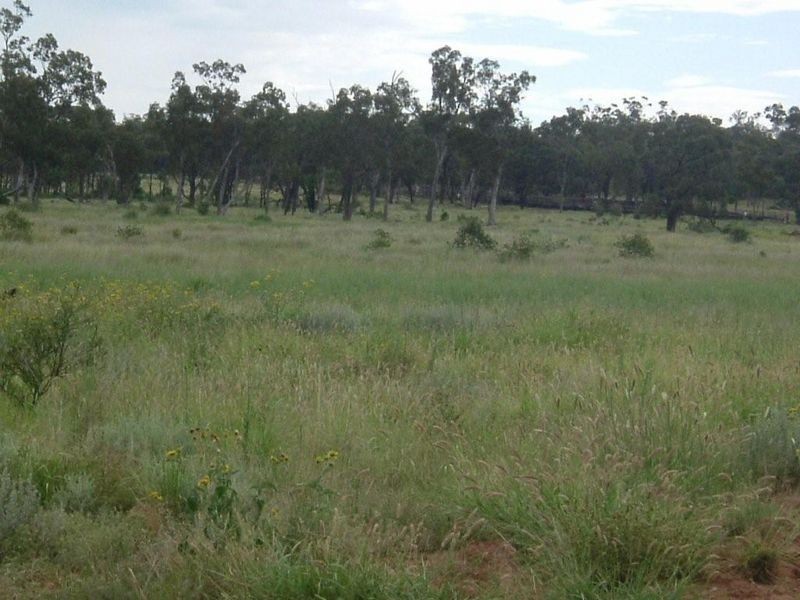 8076 Bollon Road, Mitchell QLD 4465