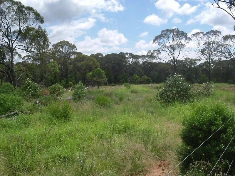 8076 Bollon Road, Mitchell QLD 4465