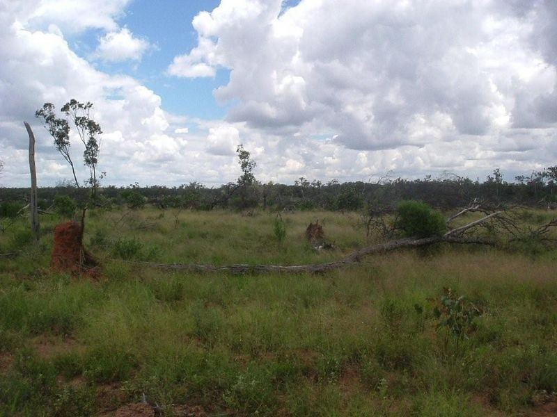 8076 Bollon Road, Mitchell QLD 4465