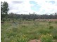 8076 Bollon Road, Mitchell QLD 4465