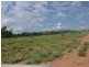 8076 Bollon Road, Mitchell QLD 4465