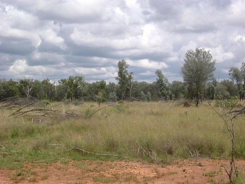 8076 Bollon Road, Mitchell QLD 4465