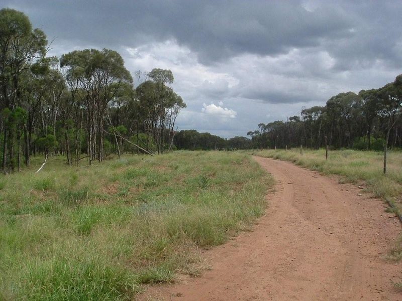 8076 Bollon Road, Mitchell QLD 4465