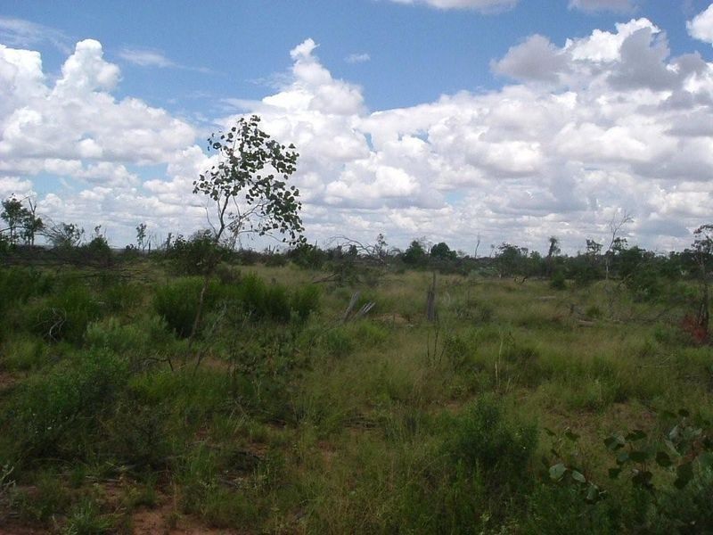 8076 Bollon Road, Mitchell QLD 4465