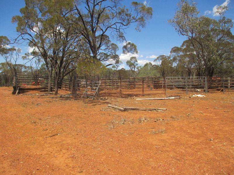8076 Bollon Road, Mitchell QLD 4465