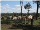 8076 Bollon Road, Mitchell QLD 4465
