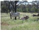 8076 Bollon Road, Mitchell QLD 4465