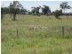 8076 Bollon Road, Mitchell QLD 4465