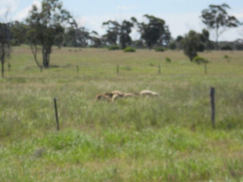 8076 Bollon Road, Mitchell QLD 4465