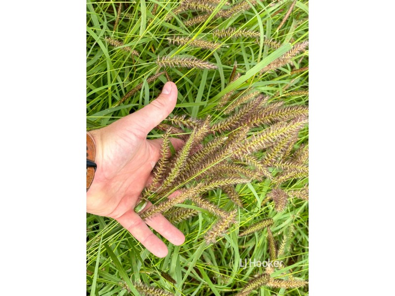 Lot 7 Burnsdale Road, Roma QLD 4455