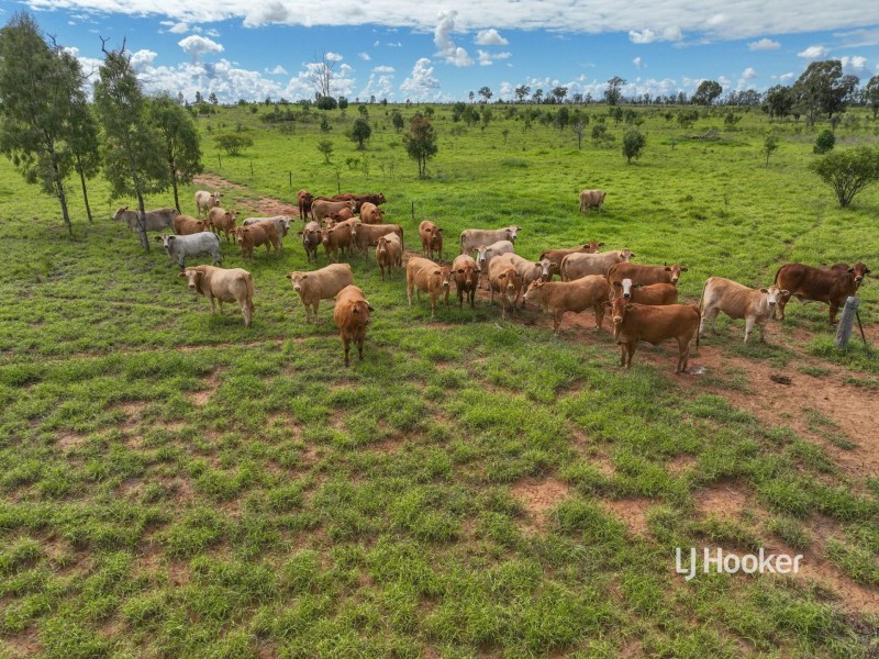 Lot 7 Burnsdale Road, Roma QLD 4455